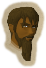The Archaeology Expert (head)