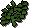 Seaweed