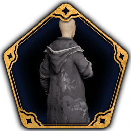 Dark Arts Robe