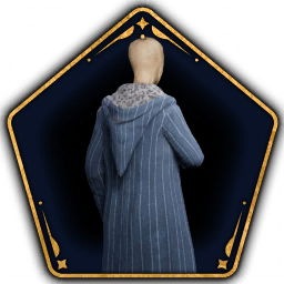 Scholar's Robe
