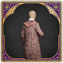 Fashionable Dress Robes