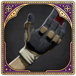 Quidditch Captain's Gloves