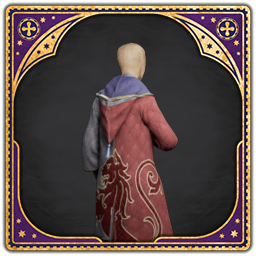 House Fan-atic School Robe