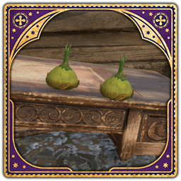 Pungous Onion Bulb
